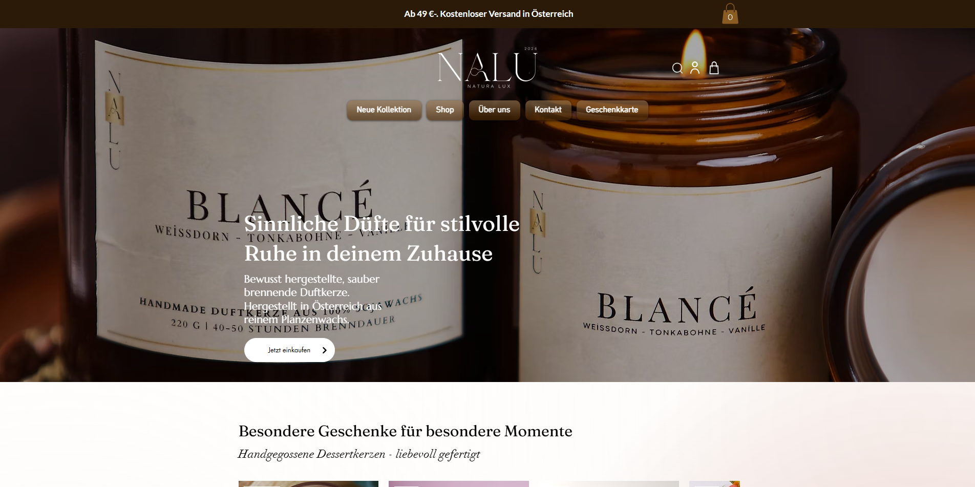 naturalux.at Website Case Study