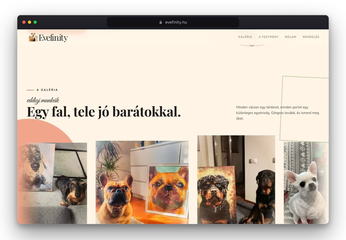 Website von Evefinity im Browser, Ansicht 2